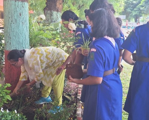 17th August 2024 Tree plantation by the guides (2)