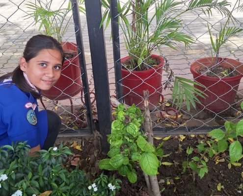 17th August 2024 Tree plantation by the guides (3)