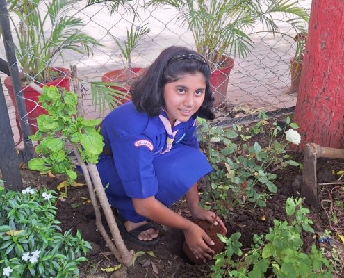 17th August 2024 Tree plantation by the guides (4)