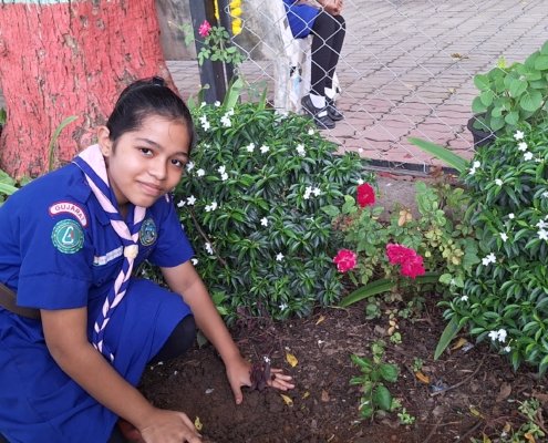 17th August 2024 Tree plantation by the guides (6)