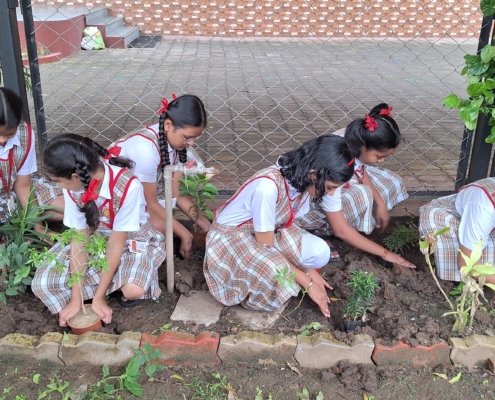 8th and 9th August 2024 Van Mahotsav celebrations by the English Medium (3)