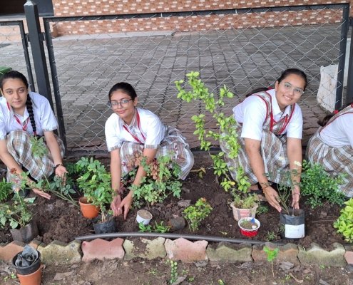 8th and 9th August 2024 Van Mahotsav celebrations by the English Medium (5)